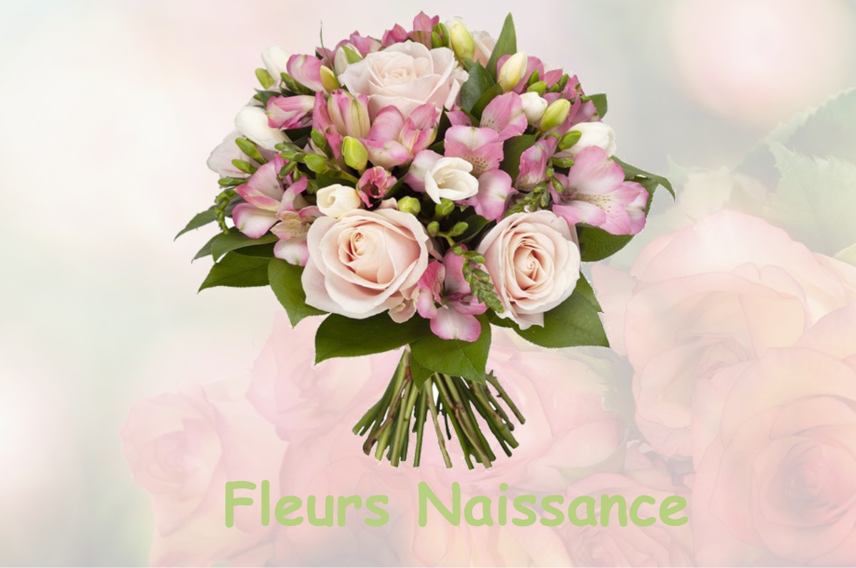 fleurs naissance PRESNOY