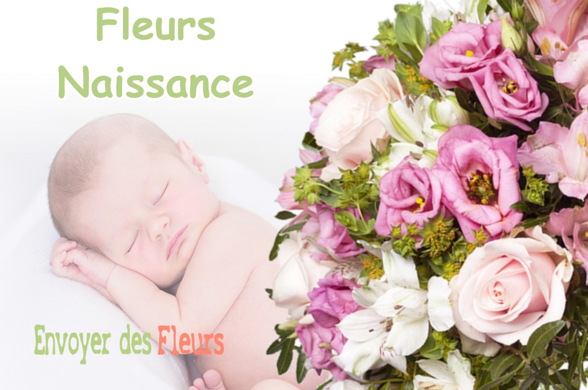 lIVRAISON FLEURS NAISSANCE à PRESNOY